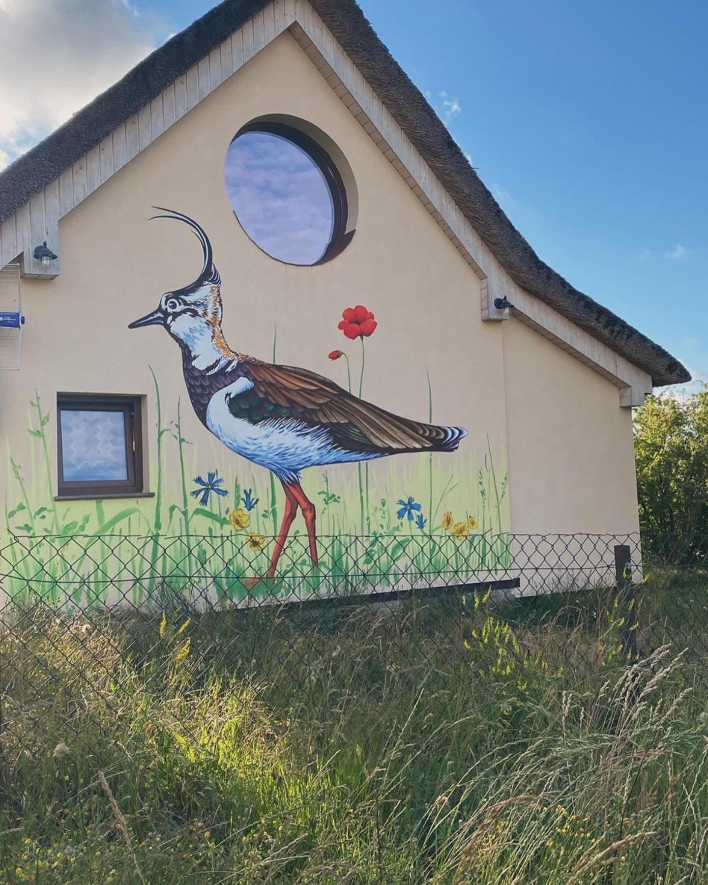 Ptasia Osada Domek Czajka 4-6 osób Gardna Wielka Exterior foto